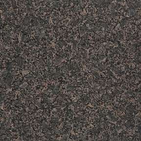 Brownporino (india)